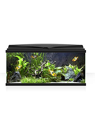 Askoll Acquario Ambiente Aqua Nero 80 LED