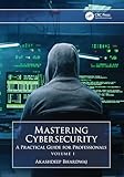Mastering Cybersecurity: A Practical Guide for Professionals (Volume 1)