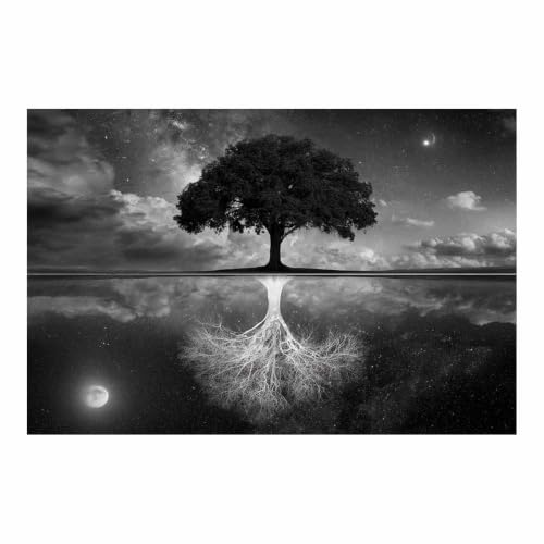 Poster noir et blanc racines d'arbres pour habiller un grand mur vide