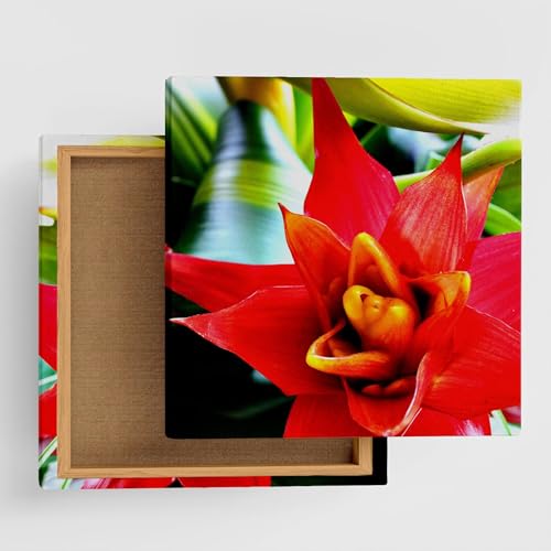 �� �A�� �A�[�g�p�l�� 57cm × 57cm L�T�C�Y ���{�� �|�X�^�[ ������� �C���e���A �͗l�ւ� ���r���O ���� �O���[�� ���R ���i �t�@�u���b�N�p�l�� pho-0058-L