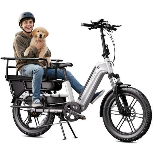 SISIGAD 1500W Cargo Ebike