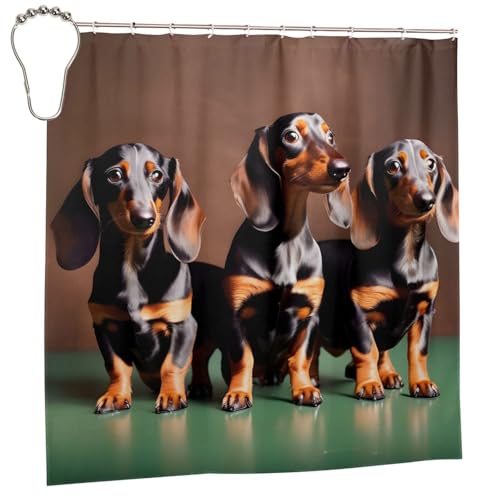 Rideau de douche teckel anti-moisissure en polyester imperméable 183x183cm