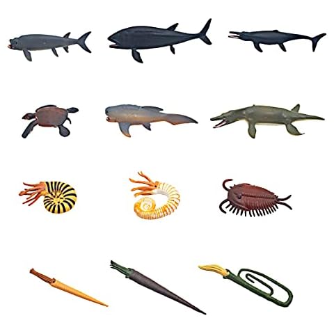 12 Pcs Plastic Ancient Marine Animal Figures Prehistoric Educational Learning Set Cambrian Sea Creature Animal Figurines Variety Realistic Sea Animals Set Plastic Ocean Animal Figures Cover