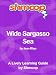Wide Sargasso Sea: Shmoop Study Guide