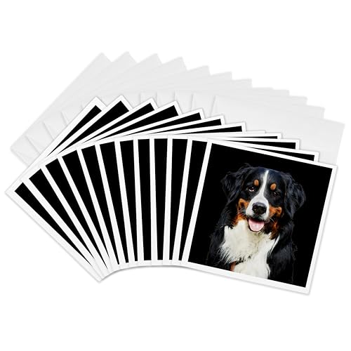 Cartes de vœux portrait d'un bouvier bernois le cadeau idéal pour amoureux des chiens