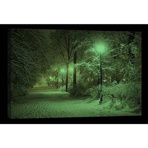 Toile nature luminescente grand format 80x120 cm tableau décoratif nuit - 2