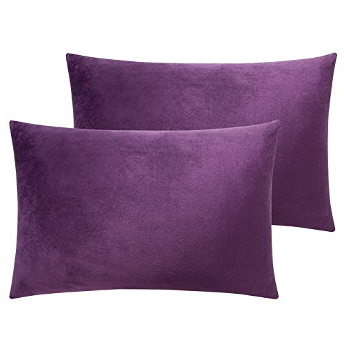 Image of NTBAY Zipped Velvet Toddler Pillowcases, 2 Pack Cozy Luxury Flannel Plush Travel Pillow Cases, 13x18 Inches, Purple