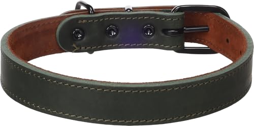 Collar para Perro Montana Verde L Ajustable 43,5 a 53,5 cm con Cinta de 25mm 3