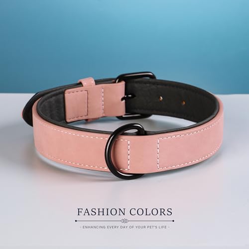 Didog Weich gepolstertes Hundehalsband aus Leder,strapazierfähiges Hundehalsband aus Leder mit Verstellbarer rostfreier Metallschnalle für kleine, mittelgroße und große Hunde, Pink, XL