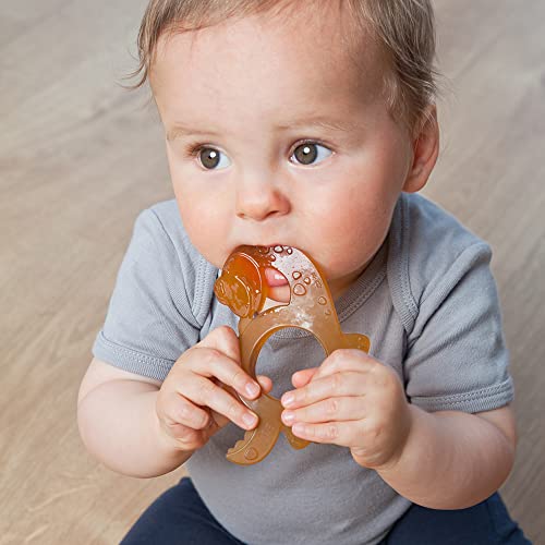 GRÜNSPECHT Bio-Beißring aus Naturkautschuk für zahnende Babys, massiert Zahnfleisch, BPA frei, weich, fördert Feinmotorik, Dinosaurier (639-V1)