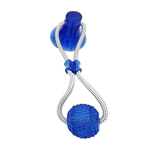 YUYOUG Jouets à Mâcher Chien, Jouet Molaire Chien, Jouet de Nettoyage des Dents pour Chien Enlever la Plaque et Le Tartre, Super Rebondissant (Bleu)