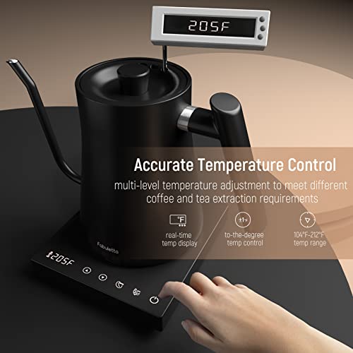 Gooseneck Electric Kettle Fabuletta Electric Kettle Temperature Control 100% Stainless Steel Inner Lid & Bottom Pour Over Coffee Kettle & Tea Kettle 1200W Quick Heating 1L Tea Pot For Family #TOP2