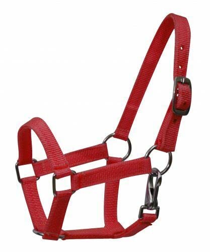 Mini Nylon Halter w/Nickel Plated Hardware (Red)