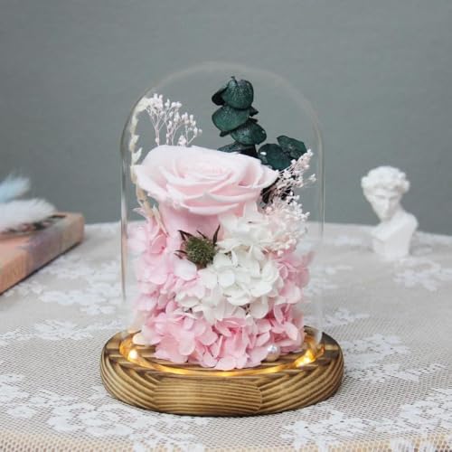 CokBlu vU[uht[Mtg ͂ȂԃsN[YKXh[Ɏ LED Cgt hCt[vUP[Xő蕨ɍœK Mtg{bNX񂰑܃bZ[WJ[ht ̓jJXjLOahV̓ȂǂjɊp