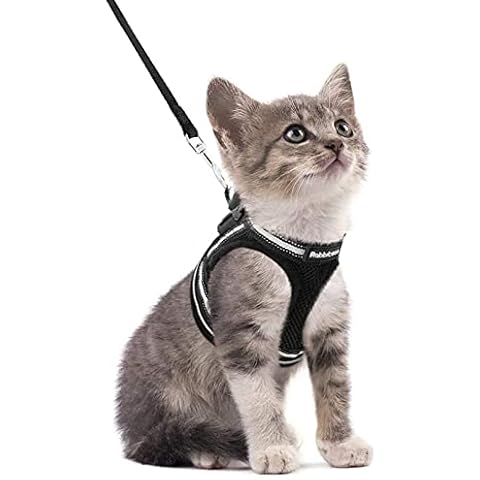 rabbitgoo Adjustable Cat Harness and Lead Set Cover