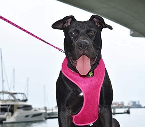 Image of Classic Dog Harness Innovative Mesh No Pull No Choke Design Soft Double Padded Breathable Vest for Eco-Friendly Easy Control Walking for Large Puppies Full Size Breeds & Extra Large Dogs (XXL, Pink)