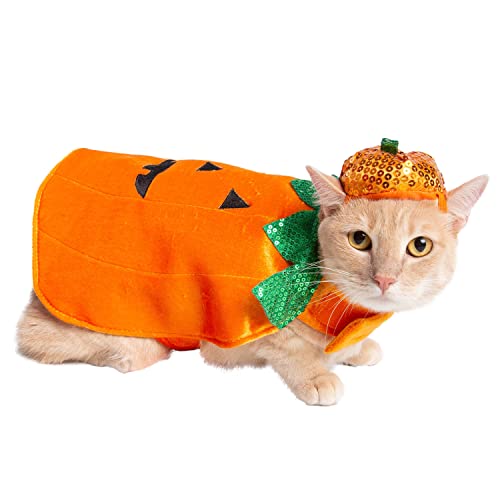 Disfraz de Calabaza para Perro Pequeño PET KREWE miniatura 5