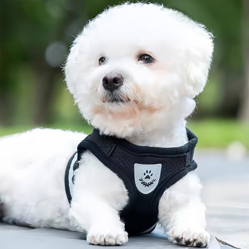 Verstellbarer Brustgurt mit reflektierender Leine - Geschirr & Leine Set für Welpen, Hunde & Katzen (XS)