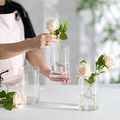 12 x Zylinder Glas Vase für Hochzeit Deko, Hewory Kerzenhalter Glaszylinder Set Modern Blumen Vasen Set Tulpen Trockenblumen, Kerzenständer Windlicht für Stumpenkerzen Teelicht schwimmkerzen