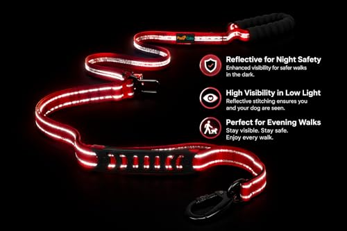 Image of 6-in-1 Tactical Dog Leash for Large & Medium Dogs, Heavy Duty Bungee Leash with Dual Handle, Reflective Shock Absorbing Nylon Training Leash with Car Seat Belt (Red)
