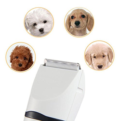 Pawaca professionale tiersc Herm aschine gatti