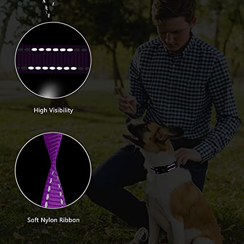 Martingale Dog Collar And Leash Set Martingale Collars For Dogs Reflective Martingale Collar For Small Medium Large Dogs(Purple&S) #TOP4