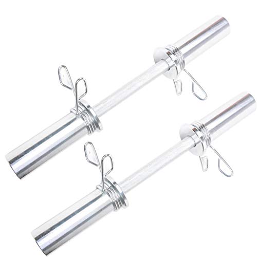 Festplatten-Hantel-Bar mit Rufkreis fixiert - Home Gym Biceps und Trizeps Fitness-Trainingswesentliche (Color : Silver)