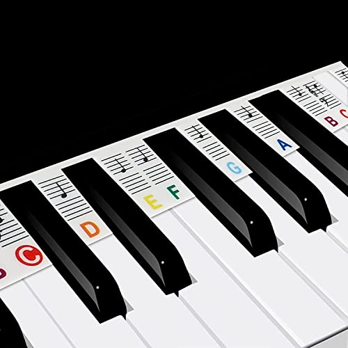 Lot de 88 étiquettes amovibles et réutilisables en silicone pour clavier de piano – Pour enfants et débutants – Arc-en-ciel - Les Beatles, Paul McCartney, John Lennon, RIngo Starr, George Harrison Lot de 88 étiquettes amovibles et réutilisables en silicone pour clavier de piano - Pour enfants et débutants - Arc-en-ciel – Image 3