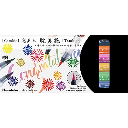 Brush pen Kuretake Cambio Tambien feutres pinceaux sans bavure pour calligraphie fluide