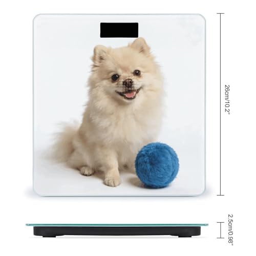 Báscula digital Ivory Poms para peso corporal 180kg miniatura 2