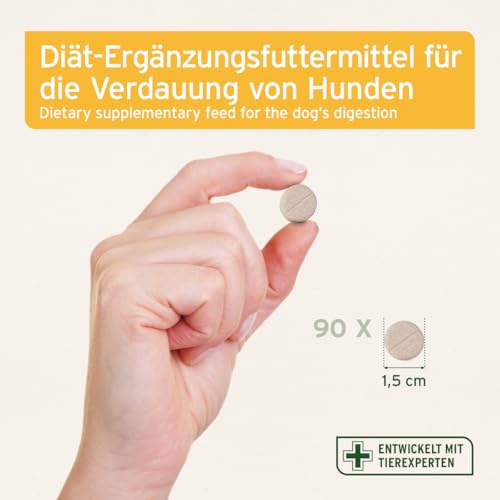AniForte Plus Probiotikum Tabs für Hunde 90 Stück - Natürliche Präbiotika & Probiotika für Hunde, Stabilisiert die Verdauung & fördert eine gesunde Darmflora, mit aktiven Darmbakterien