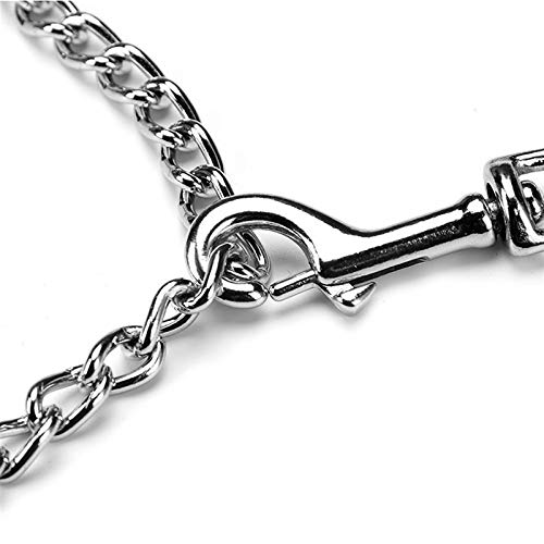 RTHGTFGS Correa Perro Handle de Espuma Perro Correa Cuerda Cadena de Perro de Hierro 120cm Caminata y Entrenamiento Personalizado Cadena de Correa de Mascotas for Perros Grandes Perros Mascotas