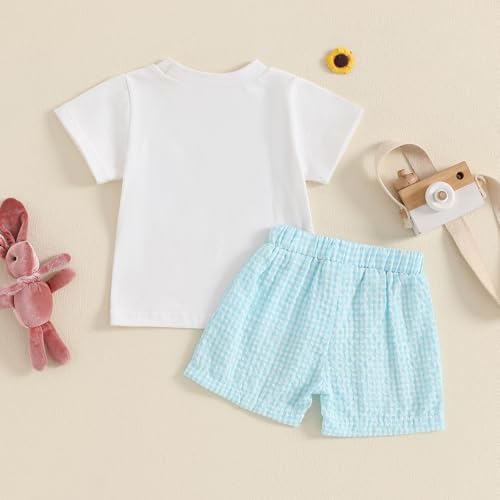 Image of Toddler Baby Boy Easter Rabbit Outfit Short Sleeve Bunny Carrot Smocked T-shirt Elastic Waist Shorts Summer Clothes