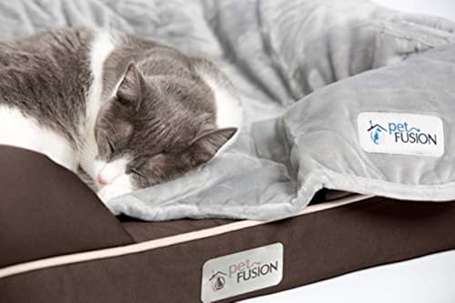 PetFusion Kleines Hundebett mit solidem 6,3 cm dickem Memory-Schaum