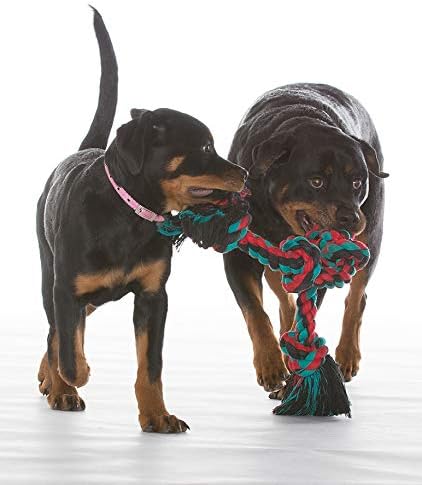 Miniatura 3 de Mammoth Flossy Chews - Tirador de cuerda de color - Juguete de algodón y poliéster prémium para perros - Juguete interactivo de cuerda para perros -