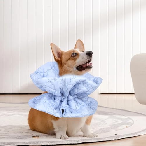 Coleira de cone para gato, coleira de recuperação de gato | Coleira de Recuperação Cone de Pescoço d