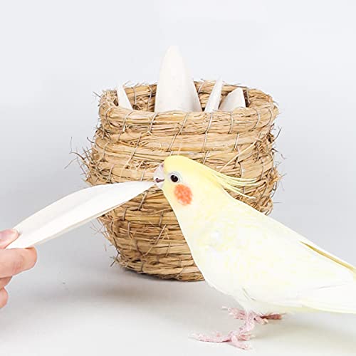 4-PCS-Cuttlefish-Bone12-13cm-Birds-Parrots-Chewing-Toys-with-2-Pcs-Metal-Holder-Natural-Cuttlefish-Bone-Bird-Pet-Molar-Toy-for-Parrots-Cage-Birds-Reptiles-Tortoises-Snails