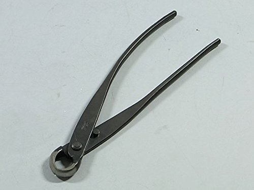 ށFi V^Ru() No.10* }