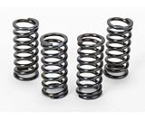 Vesrah Racing SK-412 - Clutch Spring Set