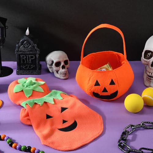 Disfraz Halloween Calabaza para Perro Talla M 2 piezas miniatura 4