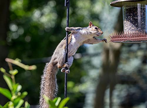 12-Pack Pigeons Bird Spikes For Outside With 20 Cable Ties, Birds Deterrent Spikes For Pigeons And Other Small Birds, Squirrel Spikes Keeping Raccoon Cats Away From Fence Roof Mailbox Brown #TOP3