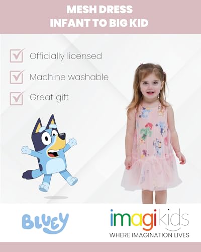 Bluey Bingo Mesh Dress Infant to Big Kid2