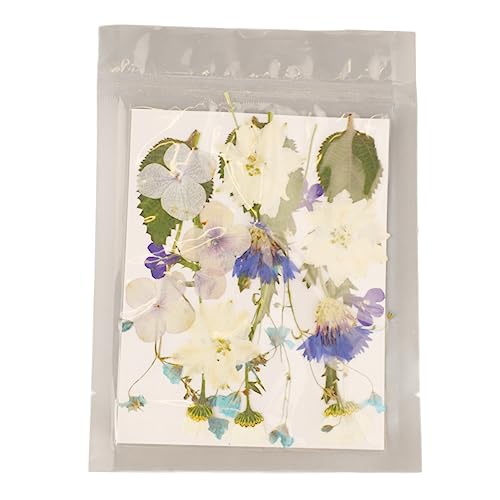 Flores prensadas surtidas 5 bolsas, 100 piezas artesanales miniatura 6