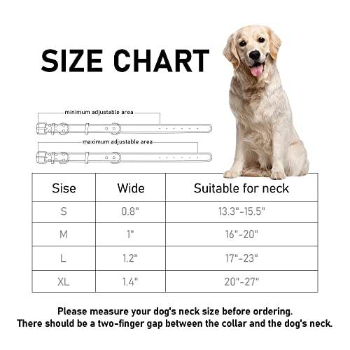 DAIHAQIKO Collare per Cane in Vera Pelle Collari