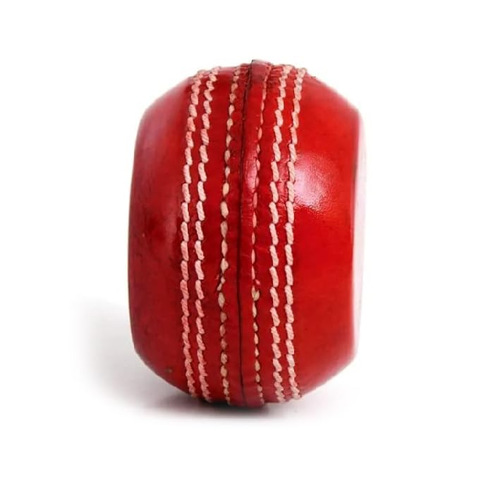 T20 White Leather Cricket Ball (Pack of 6) No Stamp