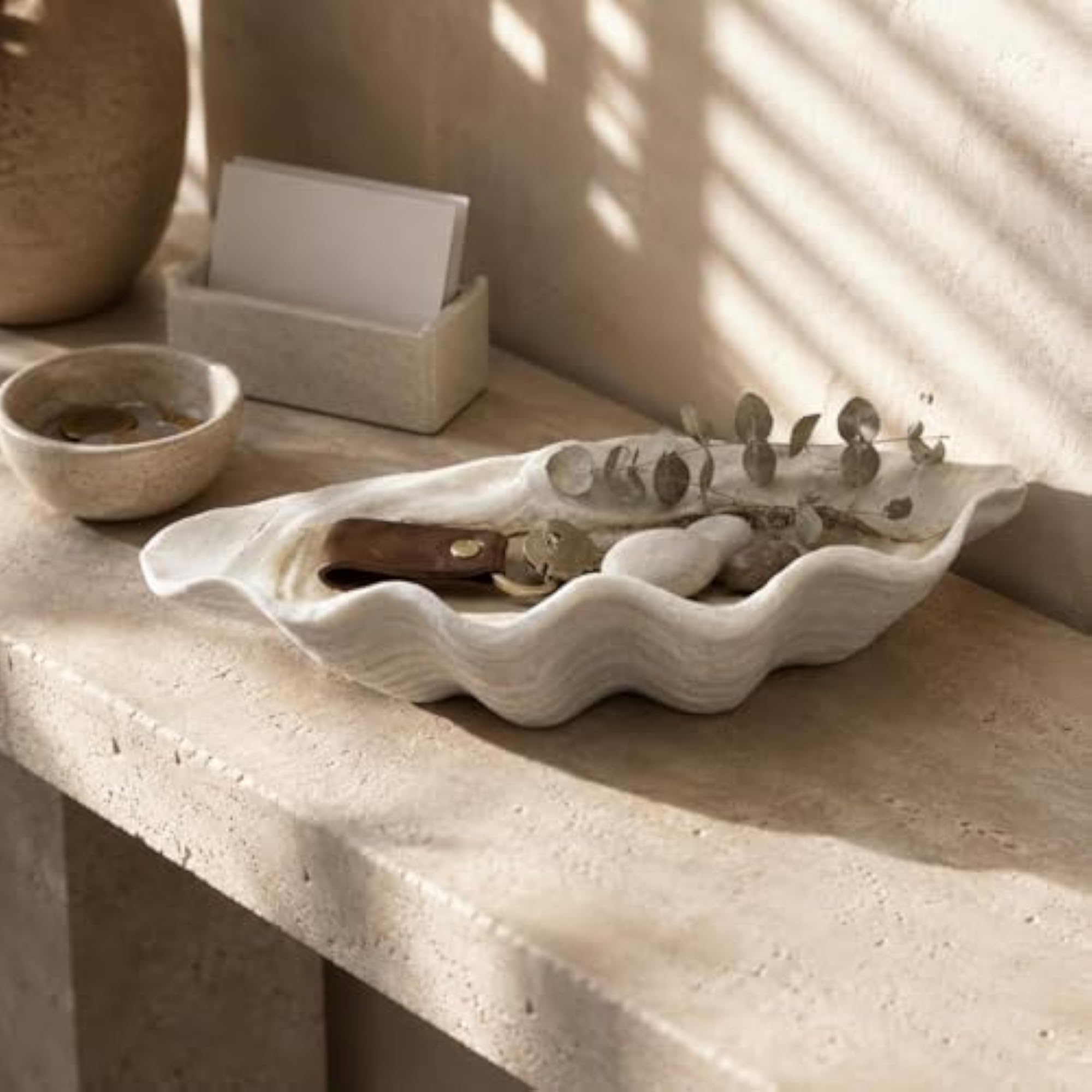 White Seashell Tray Shallow Scalloped Shell Ornament Decorative
