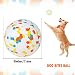 EASY JOY 2 Stück Unzerstörbar Hundebälle Hundespielzeug Stark Federnde Trainingsbälle Langlebige wurfball für Haustiere, Hund kauspielzeug aus E-TPU für Mittlere oder Große Hunde…