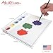 Masterson Sta-Wet Painter's Pal Palette Keeps Paint Fresh for Days 9X12 inches, Made in USA