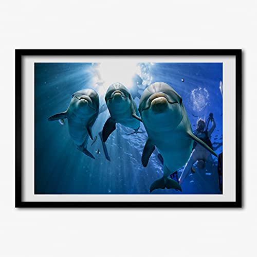 Tableau Trois Dauphins 70x50 cm Cadre MDF Tulup pour déco murale