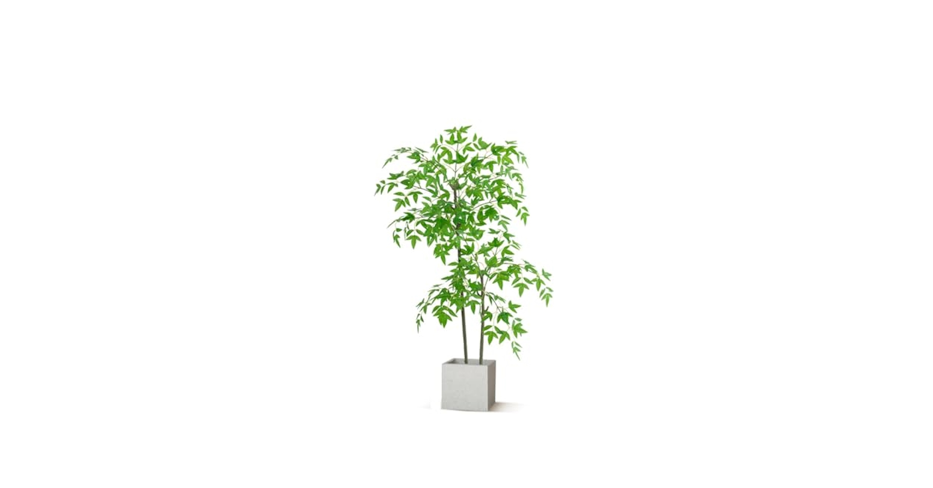 フェイクグリーン アレカヤシ 人工観葉植物 観覧植物 造花 フェイクグリーン Amazon｜HGJH フェイクグリーン 人工観葉植物 B150cm アレカヤシ